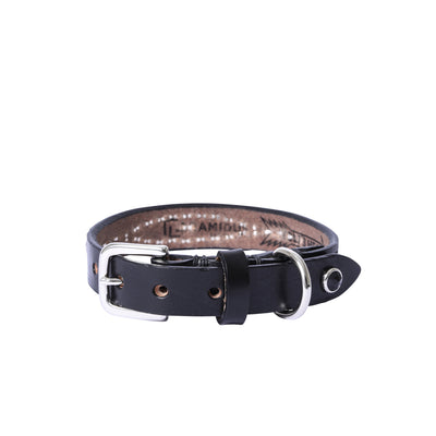 DOG COLLAR